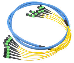 MTP trunk cable