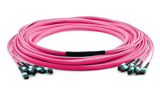 MTP/MPO trunk cable