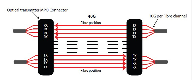 MPO connector in 40GBASE-SR4 QSFP+ transceiver